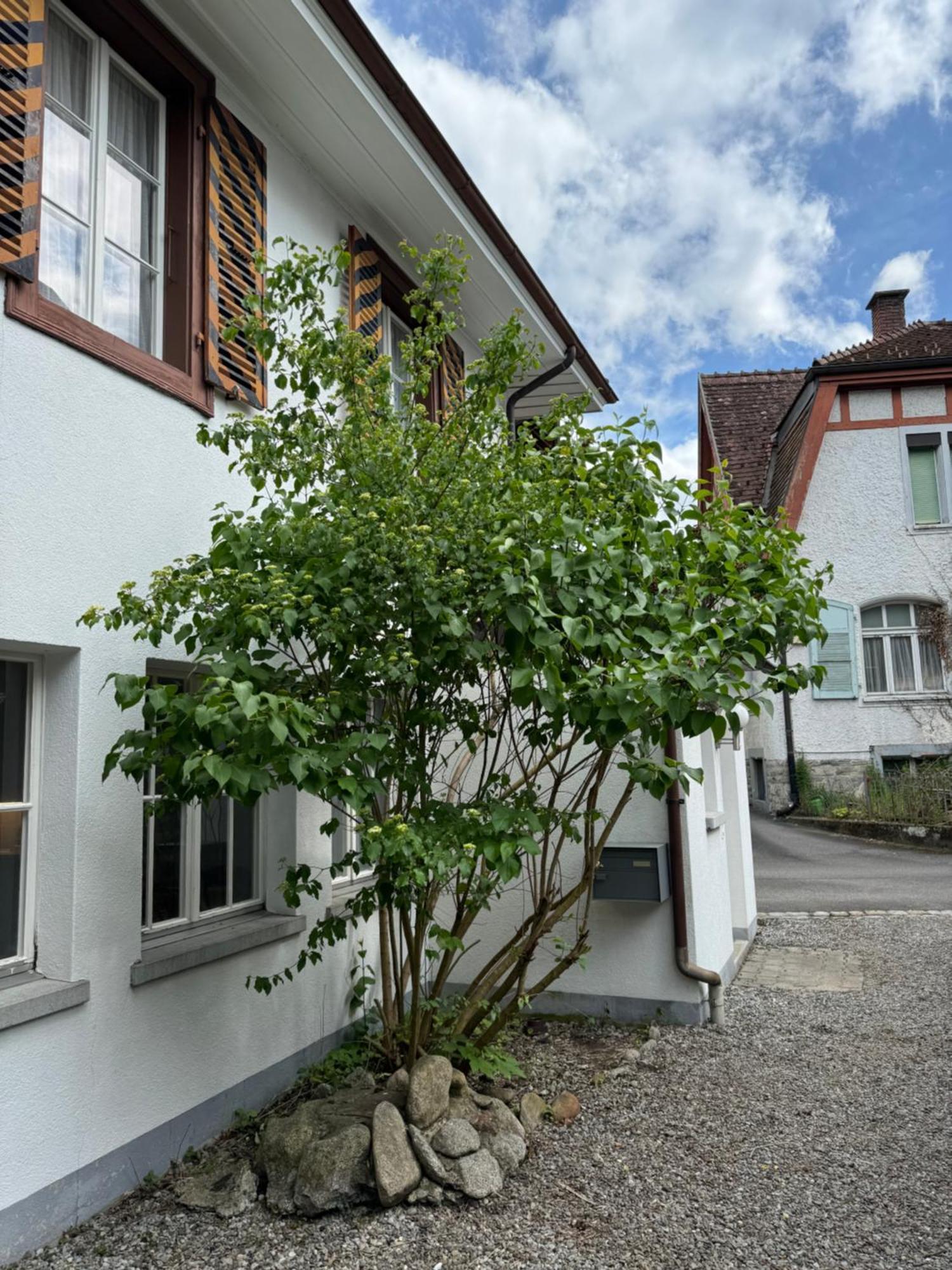 Vila Garden House Interlaken Exteriér fotografie